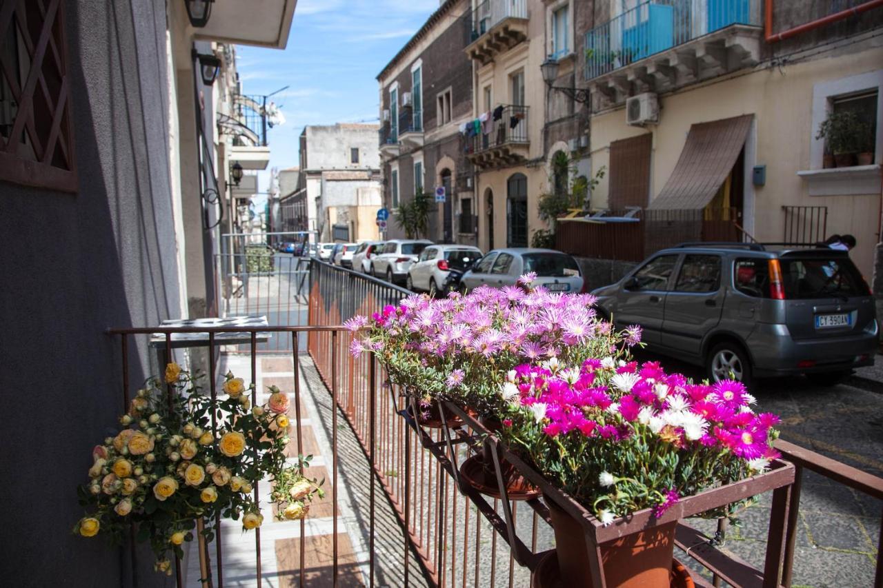 קטאניה La Casetta In Centro By Sicily In Home מראה חיצוני תמונה